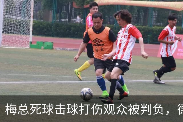 梅总死球击球打伤观众被判负，德约称能感同身受相信其非故意为之